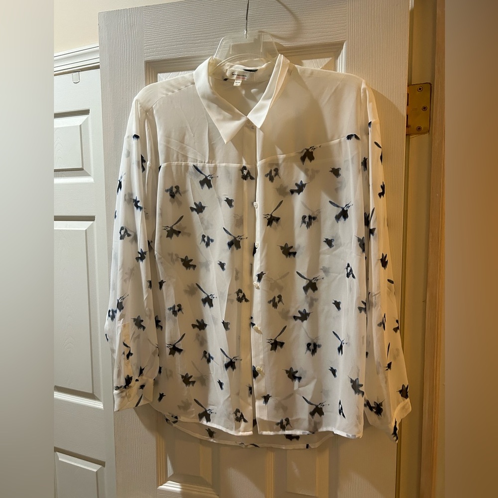 Dressy sheer blouse